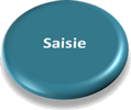 Saisie